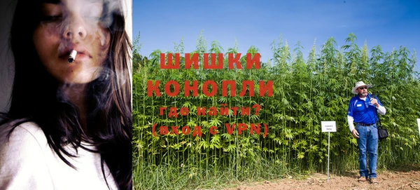 твердый Зеленодольск