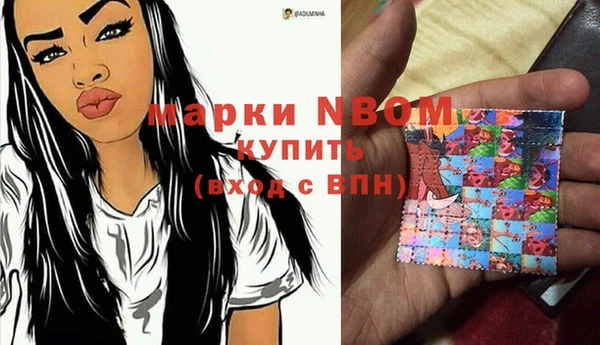 твердый Зеленодольск