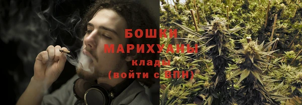 твердый Зеленодольск